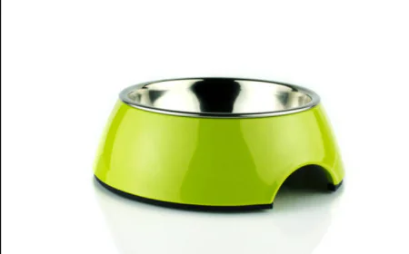Is Your Pet's Mealtime Secretly Hurting Their Neck? The Cat Dog Bowl Revolution