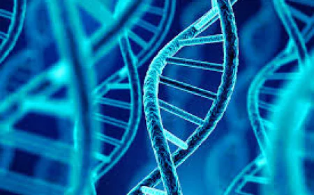 How Does Regenerative Medicine Work?