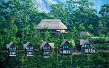Why Sri Lanka Is Becoming One of the Most Romantic Destinations for Couples