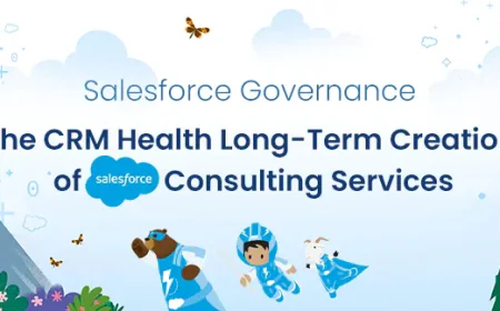 Salesforce Governance: The CRM Health Long-Term Creation of Salesforce Consulting Services
