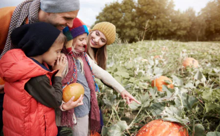 Global Agritourism Market Size, Growth, and Trends Analysis 2026-2033