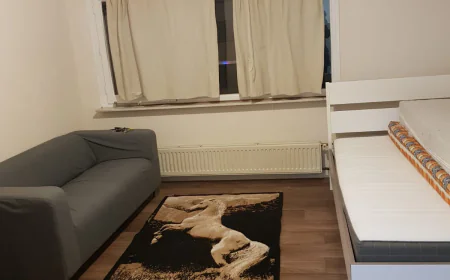 Struggling to Find a Room for Rent in Amsterdam? Here Are the Top Solutions