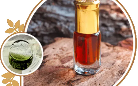 Agarwood Incense Supplier Offering Premium Oud Products