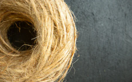 Abaca Fiber Market Size, Trends, and Strategic Outlook 2026-2033