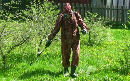 The Art Of Precision: Premium Weed Control For Iconic British Columbia Landscapes