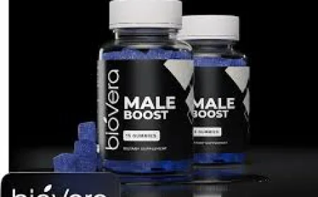 How do BioVera Gummies support male performance?