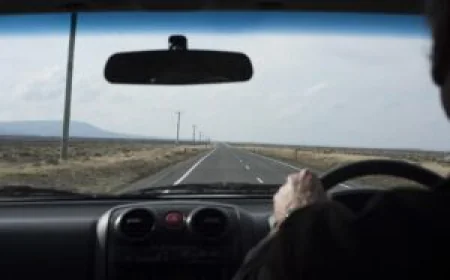 Master Safe Driving Skills with Professional Driving Lessons