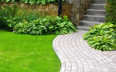 Why Garden Landscaping in London Is the Key to Creating a Beautiful Outdoor Space