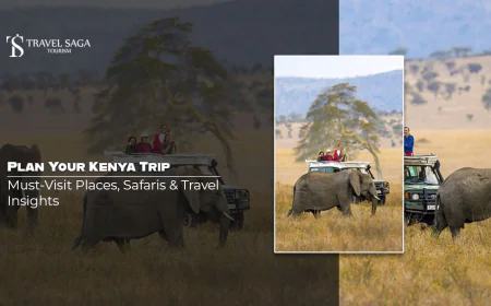 Plan Your Kenya Trip: Must-Visit Places, Safaris & Travel Insights
