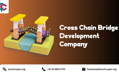 What Is Cross Chain Bridge Development in Blockchain?