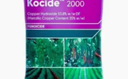 How to Use Kocide Fungicide? Complete Guide for Farmers