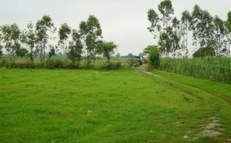 Is Agricultural Land in Garh Mukteshwar a Good Investment?