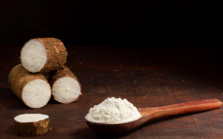 Global Cassava Starch Market Size, Trends, and Growth Outlook 2026-2033