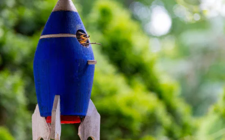 Global Rockets and Missiles Market: Size, Trends, and Growth