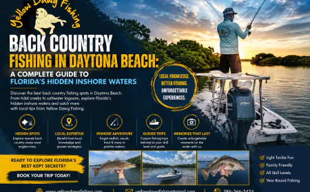Back Country Fishing in Daytona Beach: A Complete Guide to Florida's Hidden Inshore Waters
