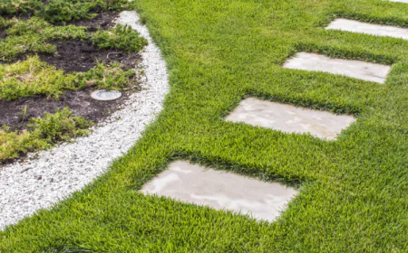 How Can Outdoor Care Improve Property Comfort?