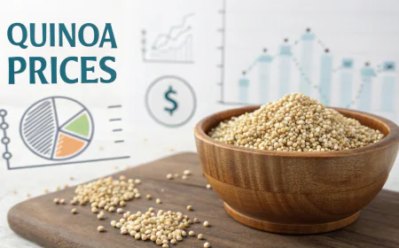 Quinoa Prices Index Analysis with Quarterly Trend and Forecast Prices Chart