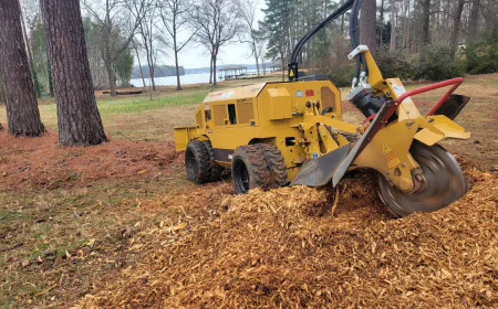 Reliable Stump Grinding Services for Cleaner, Safer Properties in Union County