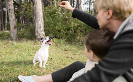 Why Early Puppy Training Is Important for Long-Term Behavior