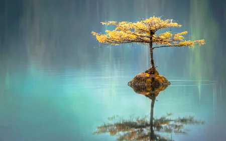 Your Dosha Is Not Just a Body Type — It Is a Map of Your Mind