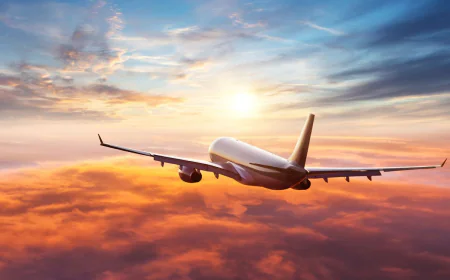 SAS Airlines ORD Terminal +1-888-738-0817