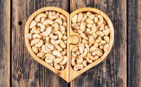High-Quality Cashew Nuts Wholesaler with Best Market Rates