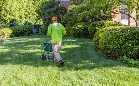 Elevate Your Property Value With Luxury Lawn Care