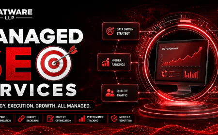 Managed SEO Services: How Students Can Build Future Careers Through Advanced SEO Services