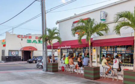 How Kava Bars Became a Miami Trend