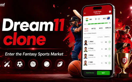 How a Dream11 Clone Can Help You Enter the Fantasy Sports Market
