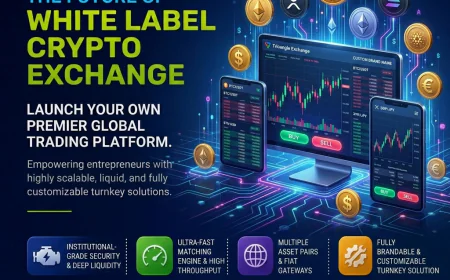 The Future of Secure Digital Payments With Crypto Wallet Development