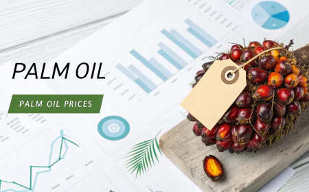 Palm Oil Prices Trend Chart with Quarterly Price Index and Forecast Prices
