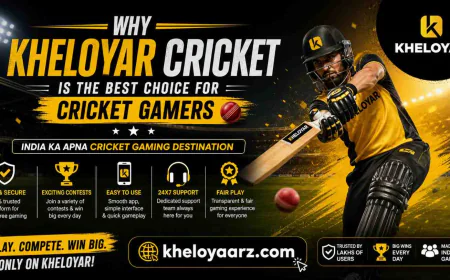Why Kheloyar Cricket Is the Best Choice for Cricket Gamers