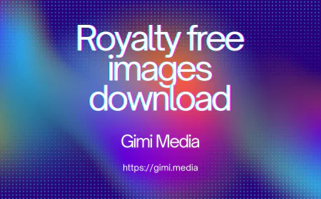 Free Stock Media for Digital Creators – Build Better Content Faster with Gimi Media