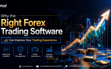 Why the Right Forex Trading Software Can Improve Your Trading Experience