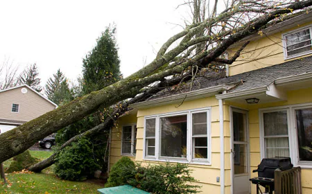 After the storm: Smart steps to restore and protect your property