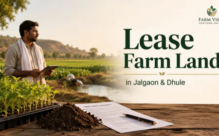 Renting Agricultural Land in Jalgaon and Dhule: What Farmers and Investors Need to Understand First