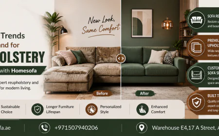 Modern Furniture Trends and the Growing Demand for Sofa Reupholstery