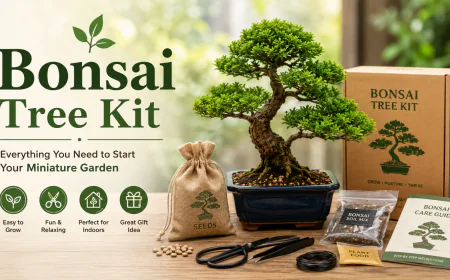 Bonsai Tree Kit: Everything You Need to Start Your Miniature Garden
