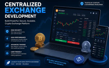 What Is Centralized Exchange Development and How Does It Work?