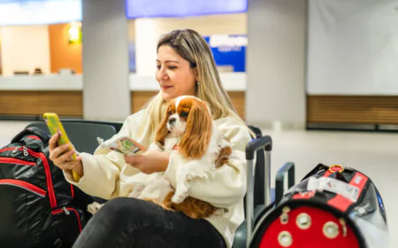 Professional Dog Boarding: Ensuring Your Pet’s Comfort and Safety