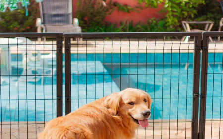 Pool Fence Regulations Every Melbourne Homeowner Should Know