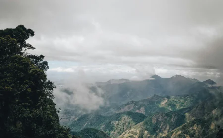 Kodaikanal Tour Packages – Complete Travel Guide for a Memorable Hill Station Experience