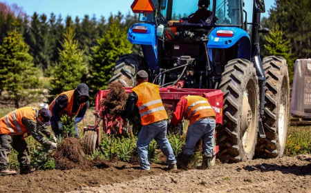 Efficient H2A Staffing for Farms and Greenhouses