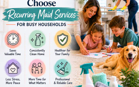 Expert Apartment Cleaning Winnipeg with Flexible Scheduling