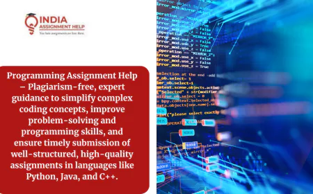 Where Can Students Find A Programming Assignment Helper Service?