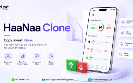 Why Watch Others Profit When You Can Launch a HaaNaa Clone?