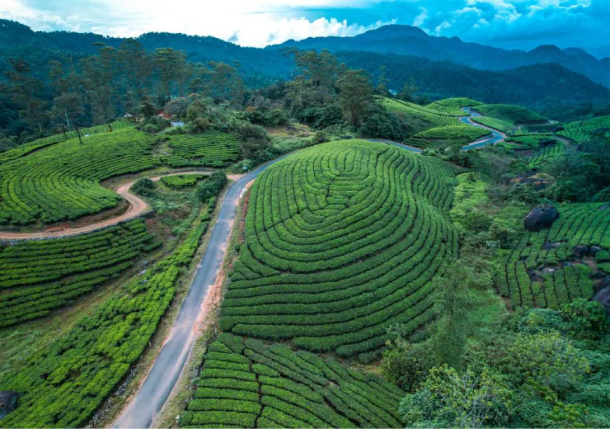 Munnar Honeymoon Tour Package from Kochi – Romantic Getaway Guide
