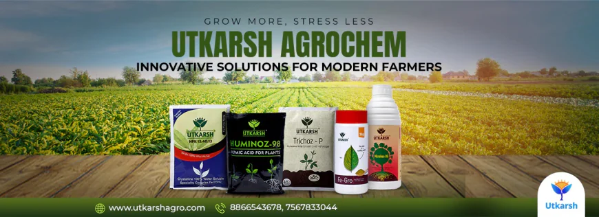Iron Zinc Chelated Fertilizer and EDTA Micronutrient Fertilizer for Healthy Crop Growth