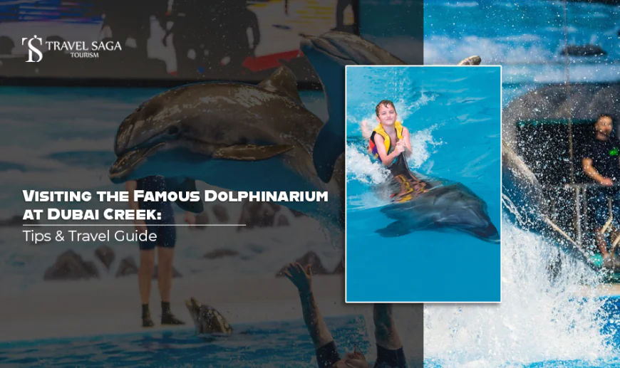 Visiting the Famous Dolphinarium at Dubai Creek: Tips & Travel Guide